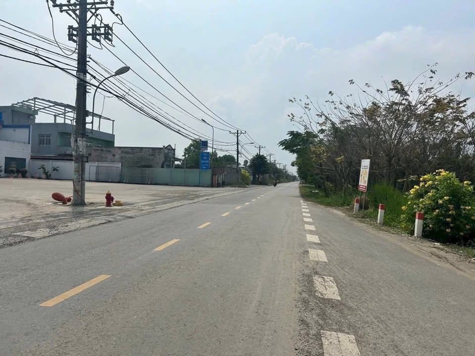 Đất mặt tiền đường Thanh Niên, Bình Chánh 624m² giá 4.6 tỷ - Cơ hội đầu tư không thể bỏ lỡ!