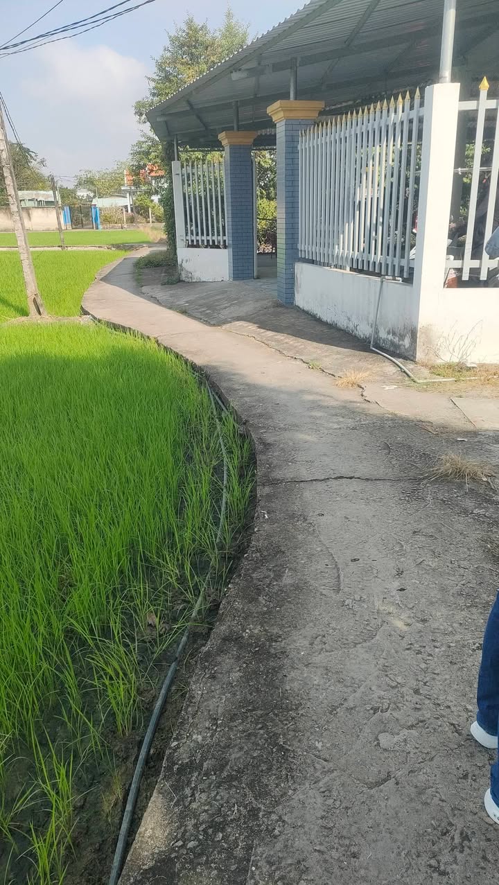 Nhà cấp 4 xã Phước Lý Cần Giuộc 190m² giá 1.35 tỷ - Sổ hồng riêng chính chủ!