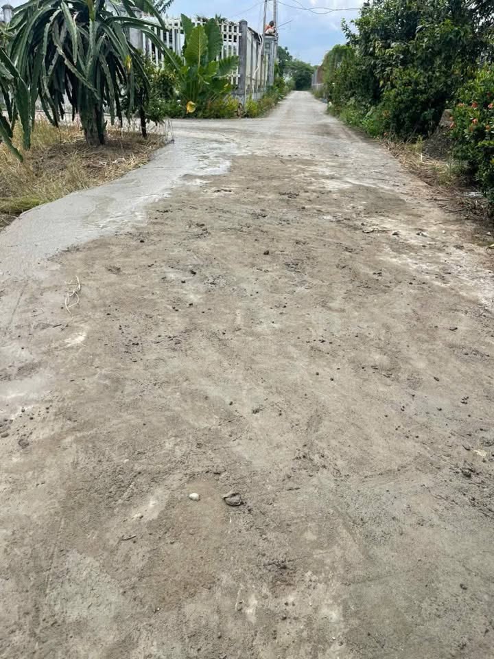 Đất nền 125m² Ấp An Bình, Hiệp Thạnh, Châu Thành - Sổ hồng riêng, chỉ 390 triệu!