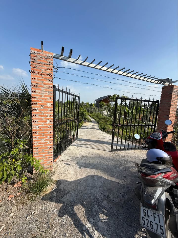 Nhà vườn 1000m² ấp 2 Bình Đức, Bến Lức giá 1.55 tỷ - Không gian sống lý tưởng!