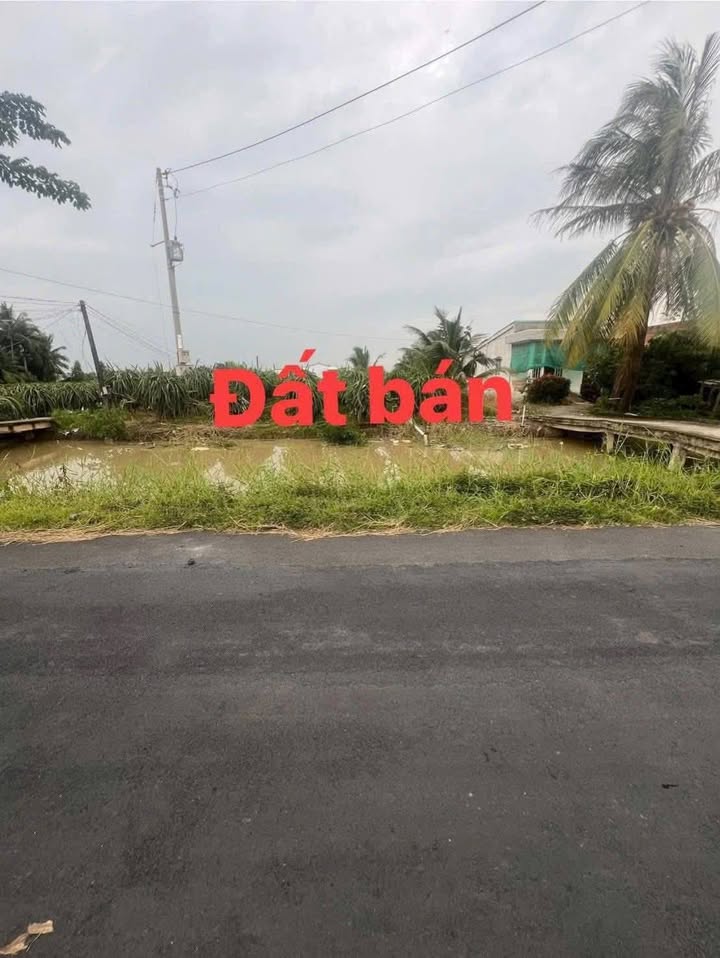 Đất thổ cư Phú Ngãi Trị, Châu Thành 270m² giá 990 triệu - Sổ hồng chính chủ, vị trí đắc địa!