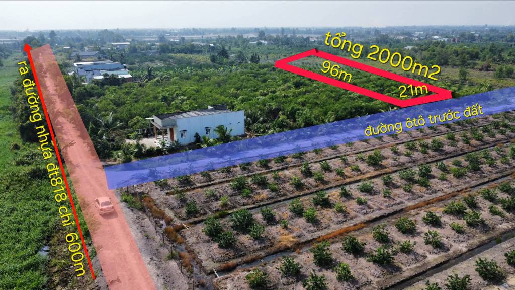 Đất vườn 2000m² tại xã Tân Thành, Thủ Thừa - Giá chỉ 560 triệu