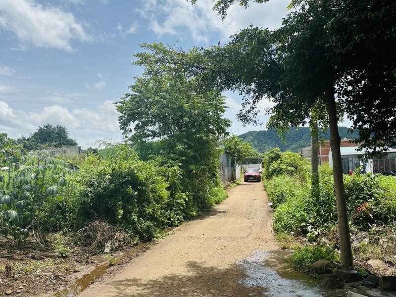 Đất thổ cư 320m² Cư Êbur - Đầu tư tiềm năng chỉ 1.49 tỷ!