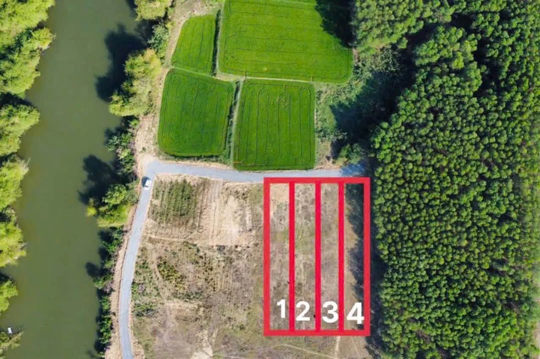 Đất quy hoạch thương mại dịch vụ Ninh Xuân 500m² giá 250 triệu - Tiềm năng phát triển lớn!