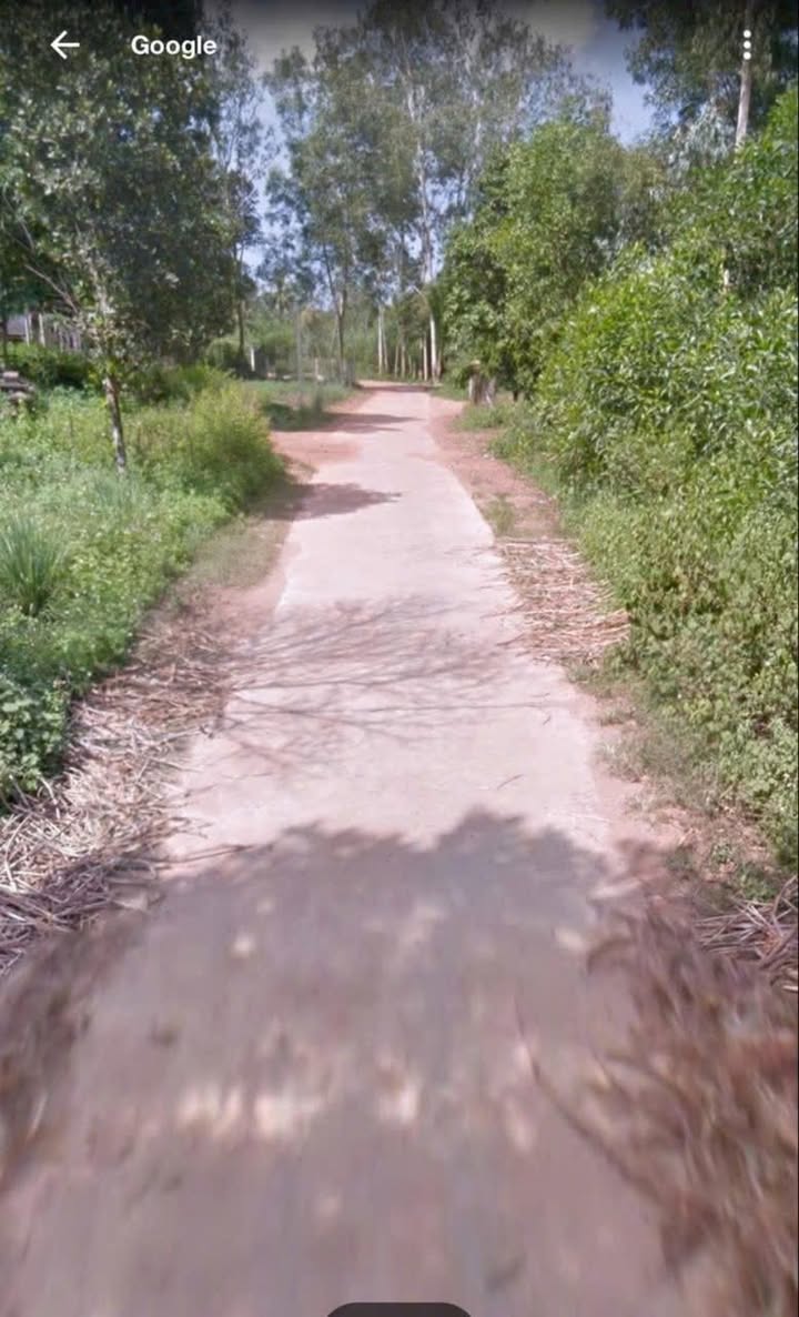 Đất trồng cây 331m² tại Bồng Sơn, Hoài Nhơn - Mặt tiền 2 đường, giá chỉ 200 triệu!