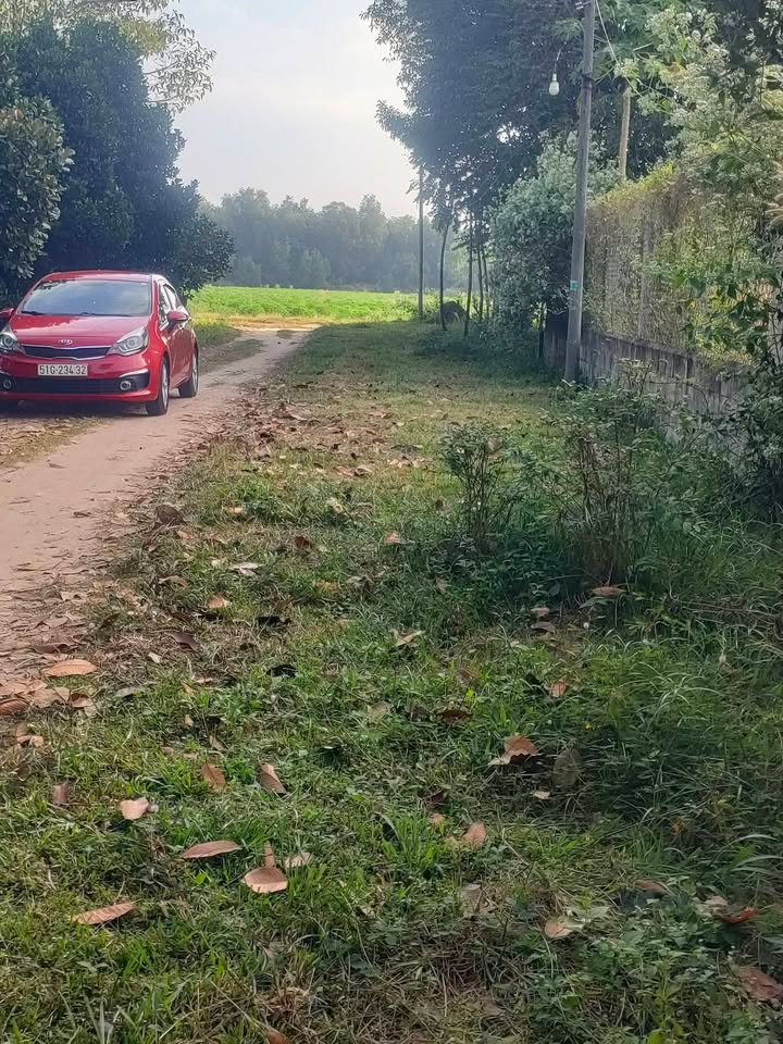 Đất An Nhơn Tây Củ Chi 3613m² giá 2.6 triệu/m² - Bán gấp, thương lượng ngay!