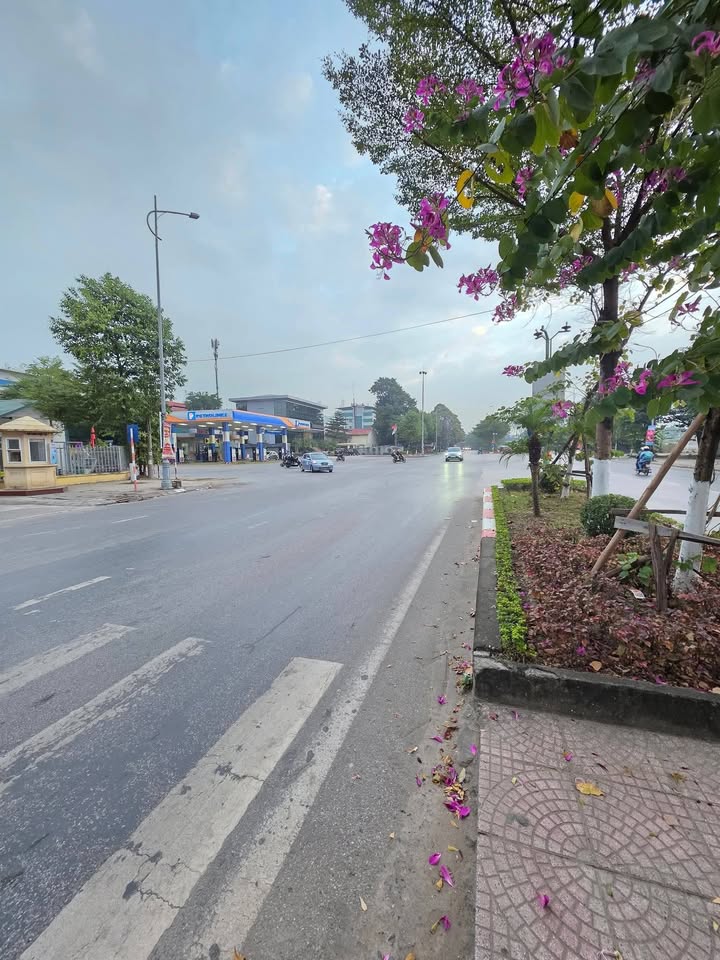 Đất nền Võ Cường Bắc Ninh 156m² mặt đường Quốc lộ 1A - Đầu tư lý tưởng!