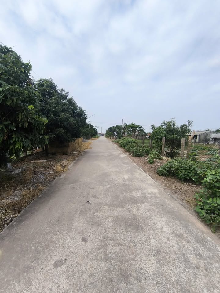 Đất lô góc Nam Điền 46733.1m² giá 2.5 tỷ - Cơ hội đầu tư tuyệt vời!