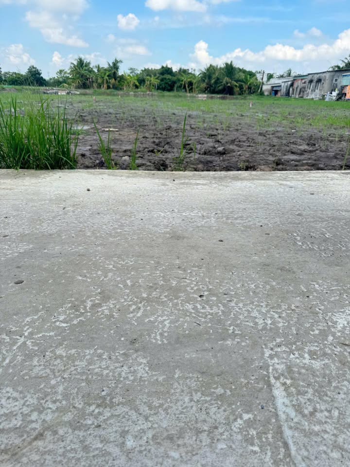 Đất nền Tân Phú Trung, Châu Thành, 200m² - Cơ hội đầu tư giá tốt!