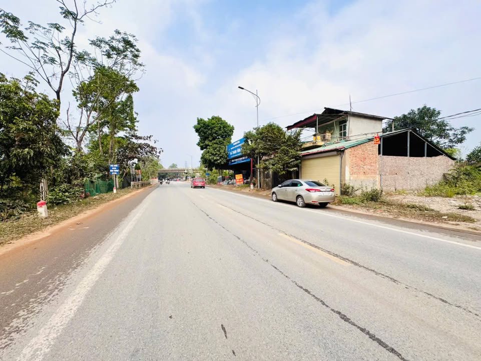 Đất nền Đạo Tú, Tam Dương 600m² giá 15 tỷ - Cơ hội đầu tư độc đáo!