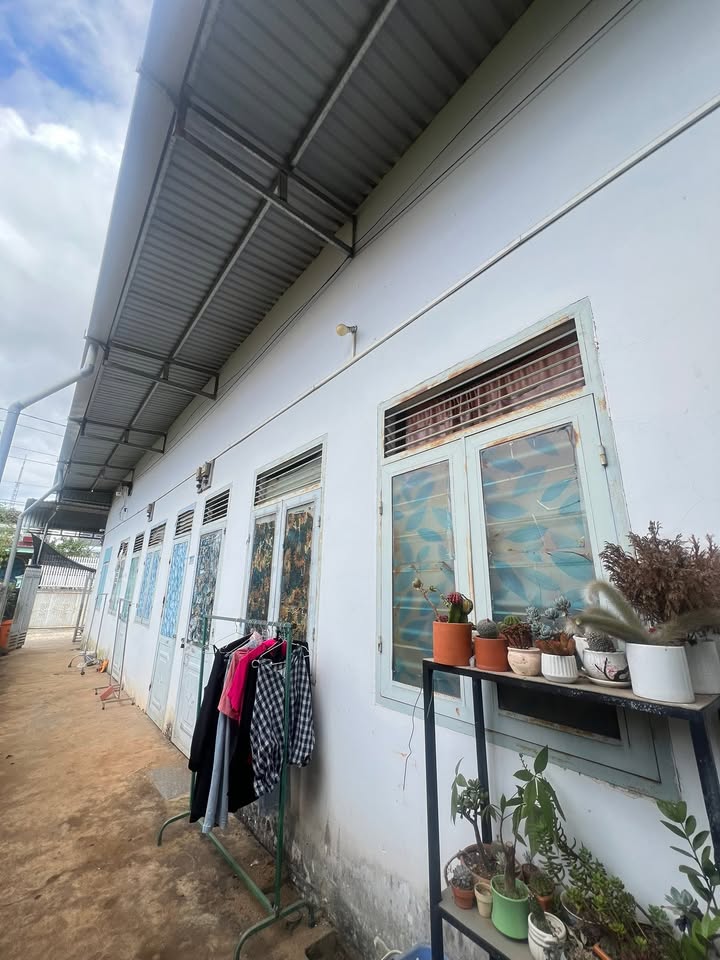 Dãy trọ 196m² tại Buôn Ma Thuột giá 5.9 tỷ - Cơ hội đầu tư hấp dẫn!