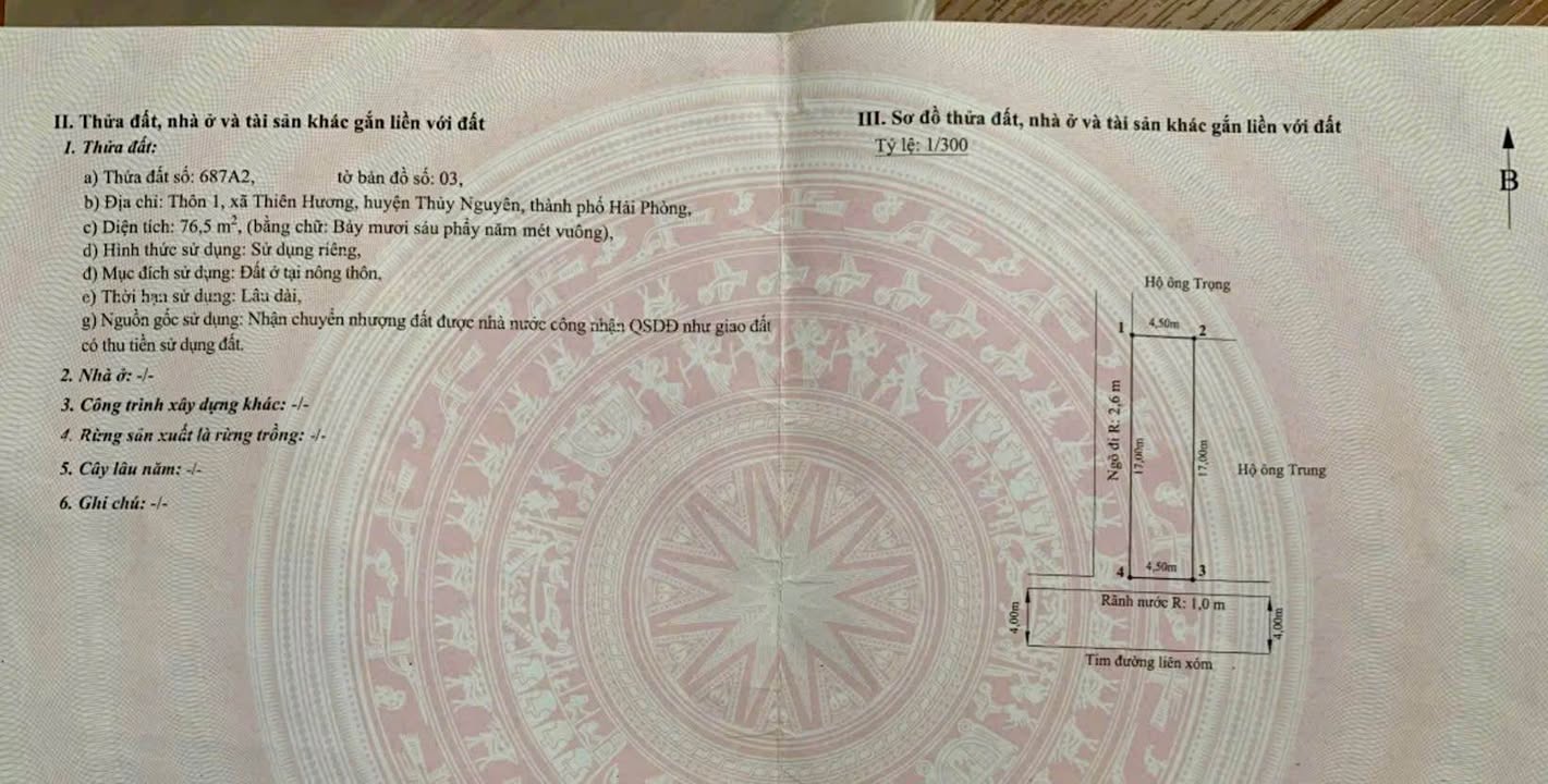 Đất nền góc mặt đường thôn 1 Thiên Hương, Thủy Nguyên 76m² - Đầu tư sinh lời ngay!