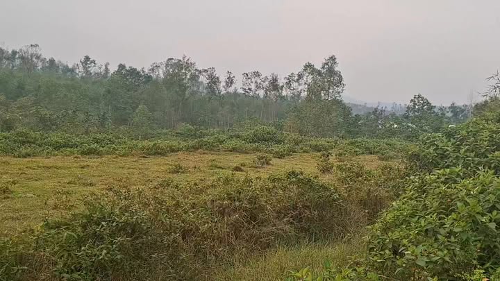 Farm 4ha tại xã Phú Lộc, huyện Can Lộc - Đất đẹp, giao thông thuận lợi!