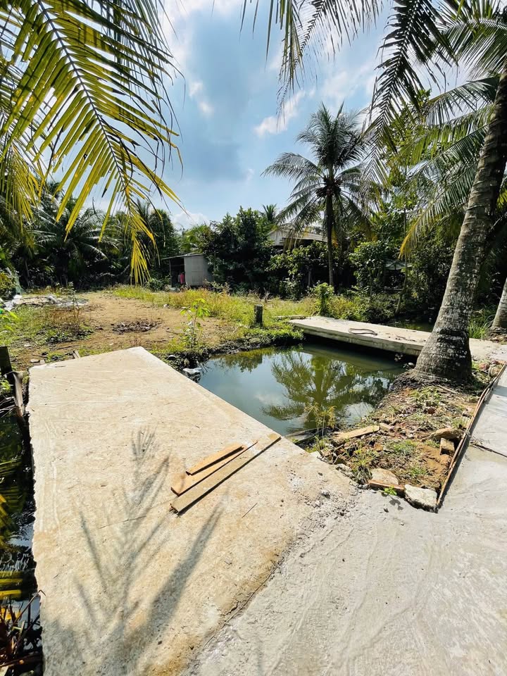 Đất nền thổ cư Phước Thuận, Mỹ Tho 124m² giá 500 triệu - Cơ hội đầu tư hấp dẫn!