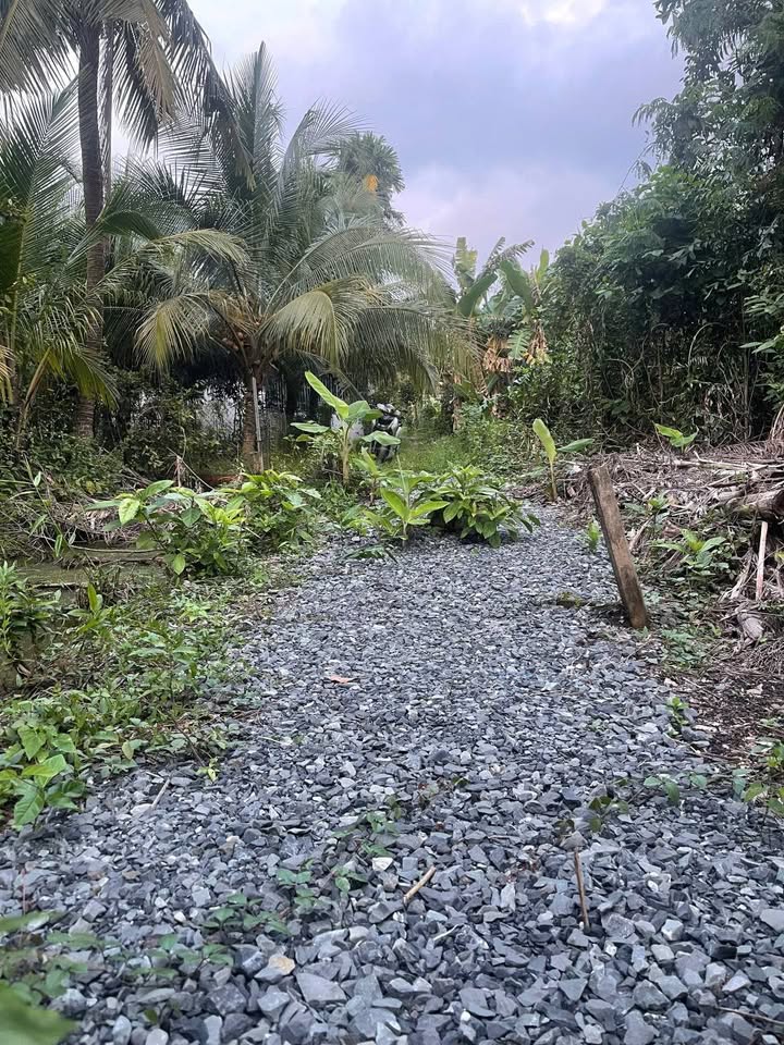 Đất nền 2 mặt đường tại Phường Trung An, Mỹ Tho - Giá chỉ 290 triệu!