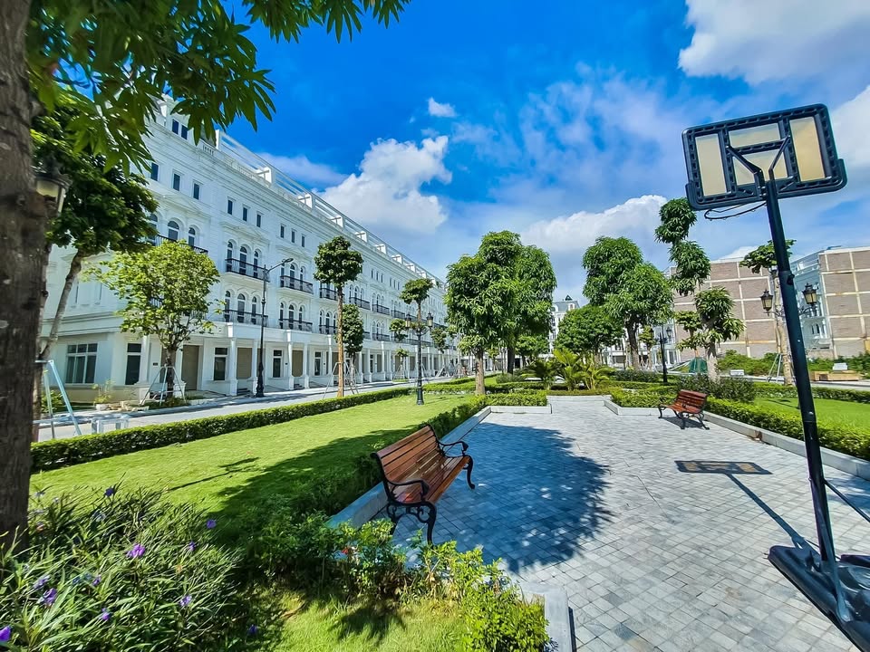 Cho thuê shophouse Louis City Hoàng Mai - Tầng lẻ giá mềm, hoàn thiện theo yêu cầu!