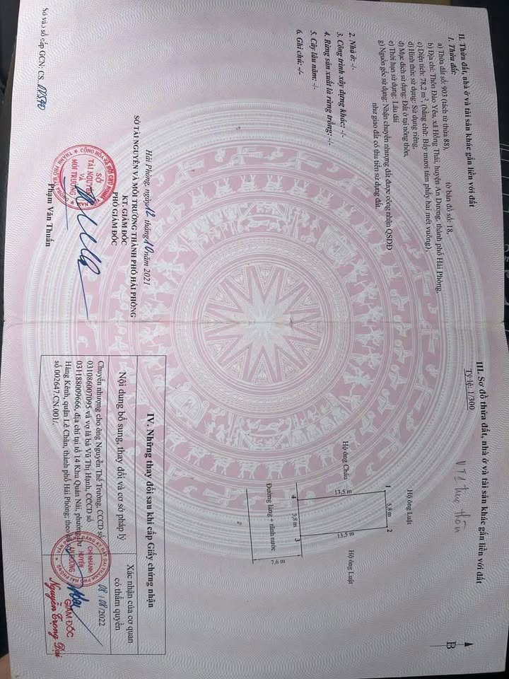 Đất mặt tiền Đào Yêu, Hồng Thái, An Dương 78,2m² giá 2 tỷ - Vị trí kinh doanh đắc địa!