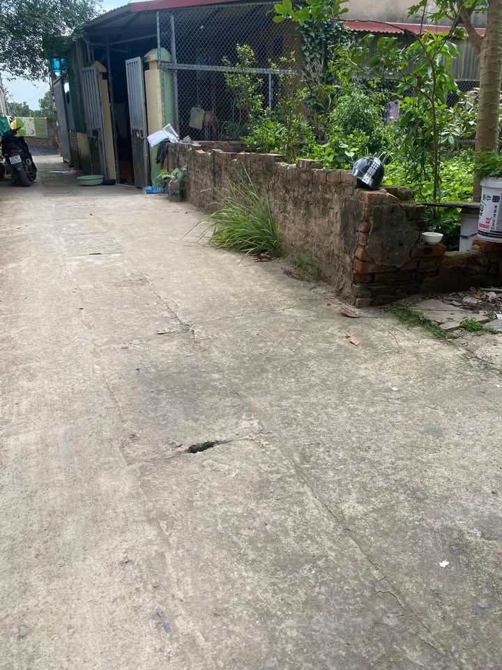 Đất nền đẹp Đông Mỹ, Thanh Trì 43m² giá 3.9 tỷ - Đầu tư sinh lời tuyệt vời!