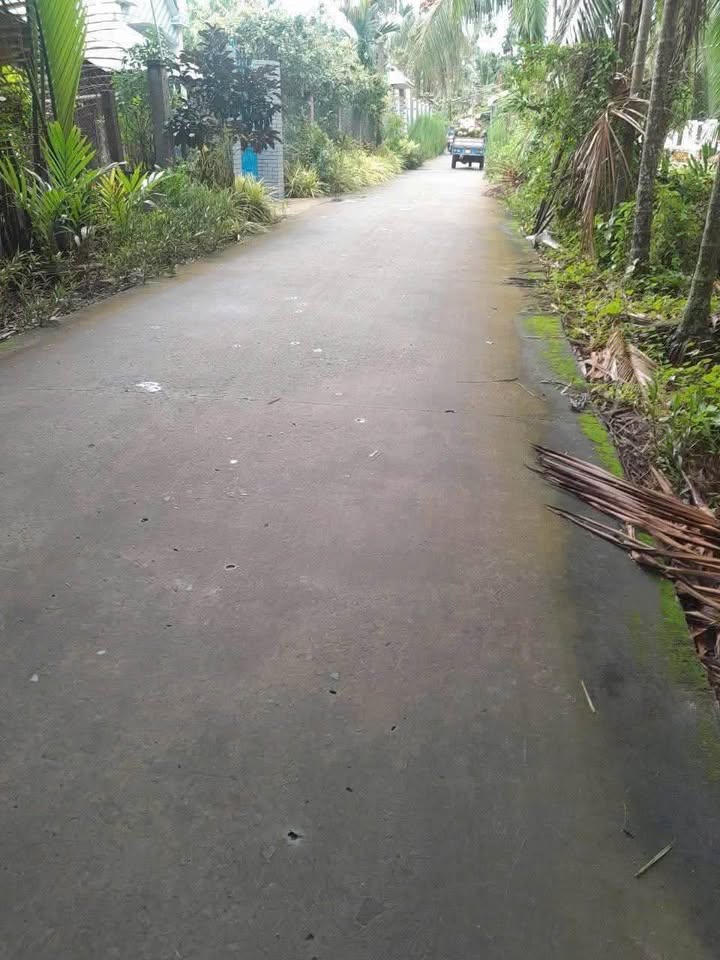 Đất nền mặt tiền đường ĐT885, xã Bình Hòa, Giồng Trôm, Bến Tre - Giá chỉ 1.05 tỷ!