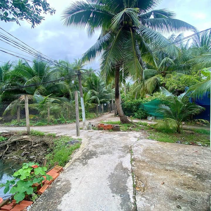 Nhà góc 2 mặt tiền xã Phú Hưng - TP Bến Tre 127m² giá 650 triệu - Đầu tư sinh lời hấp dẫn!