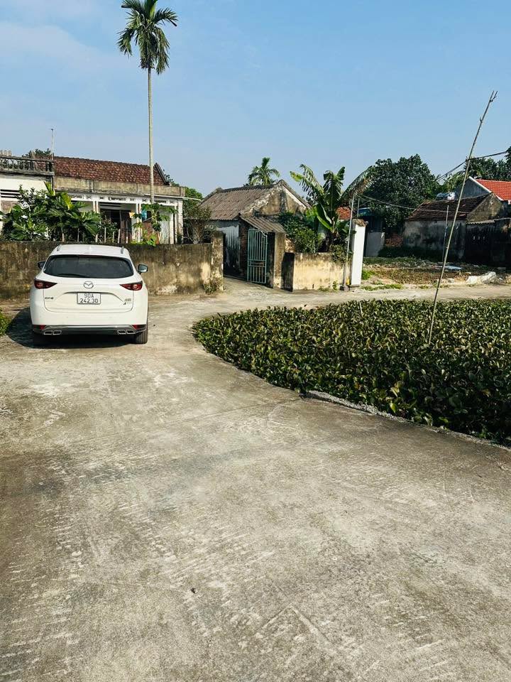 Đất Vũ Bản Bình Lục 79m² giá 600 triệu - Đầu tư an cư lý tưởng!