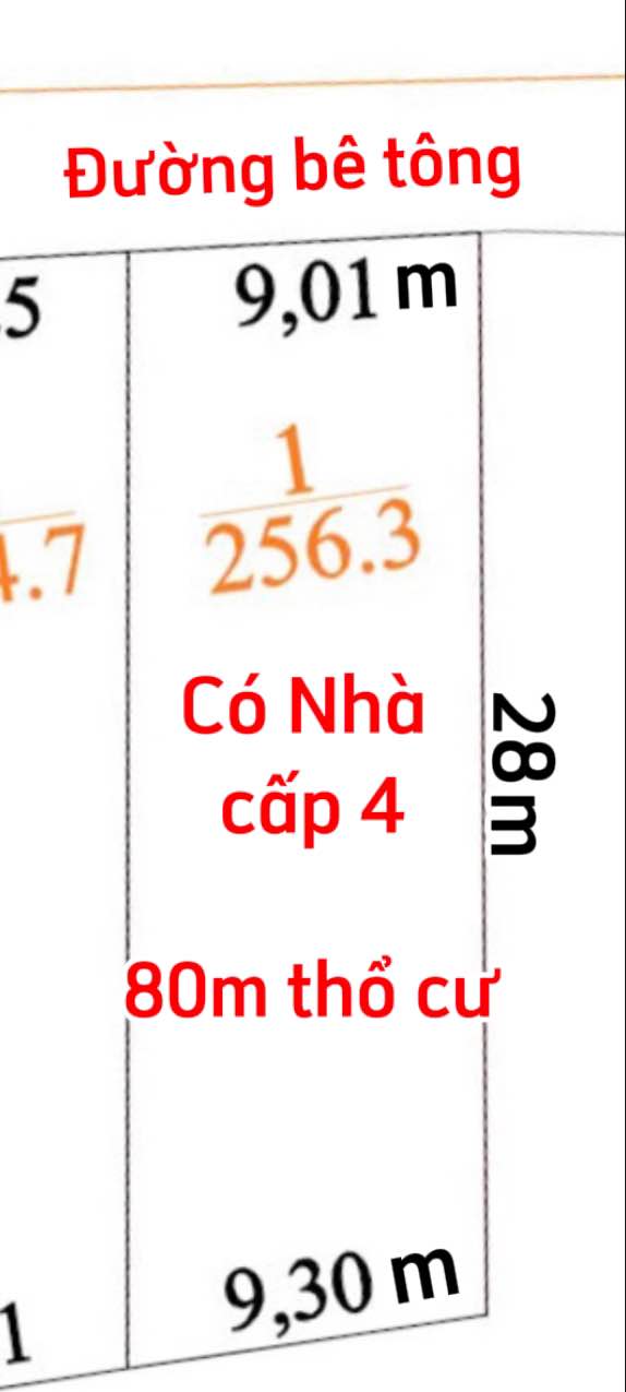 Nhà cấp 4 tại xã Láng Dài, Đất Đỏ 256m² giá 900 triệu - Sẵn sàng dọn vào ở ngay!