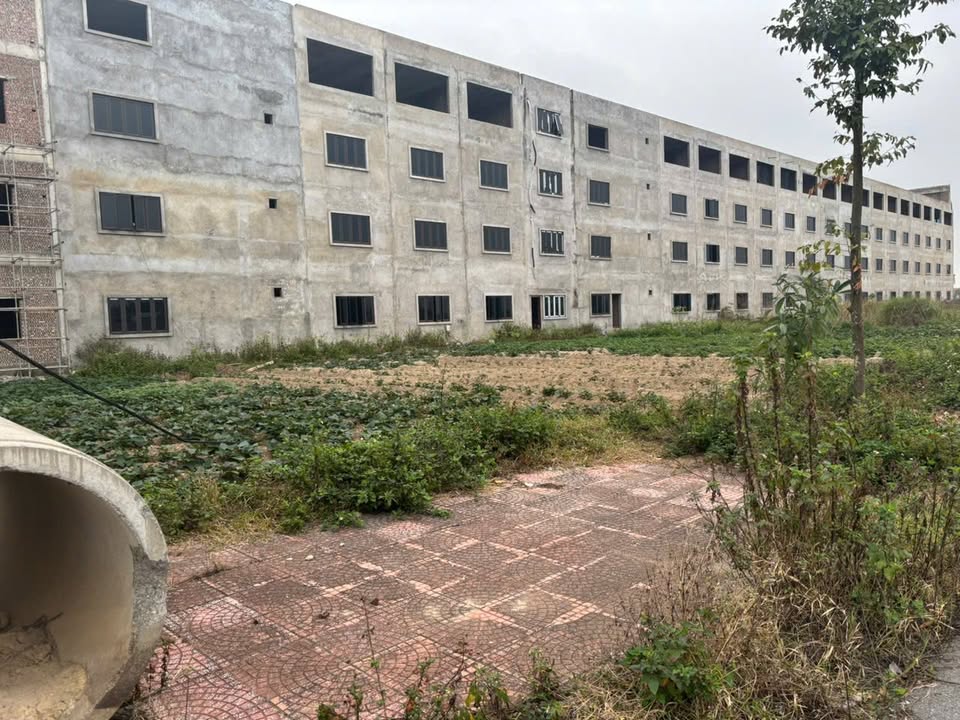 Đất nền dự án Trạm Lộ, Bắc Ninh 110m² giá 4 tỷ - Đầu tư sinh lời ngay!