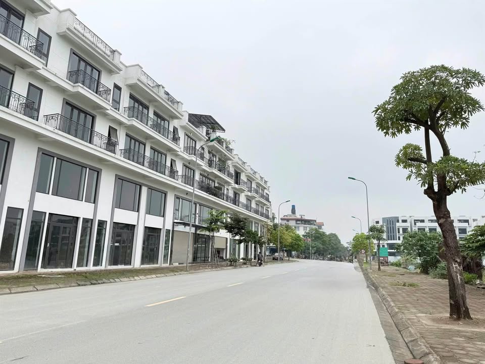 Đất nền Tái Định Cư Trâu Quỳ 60m² giá thỏa thuận - Lô góc cực đẹp!