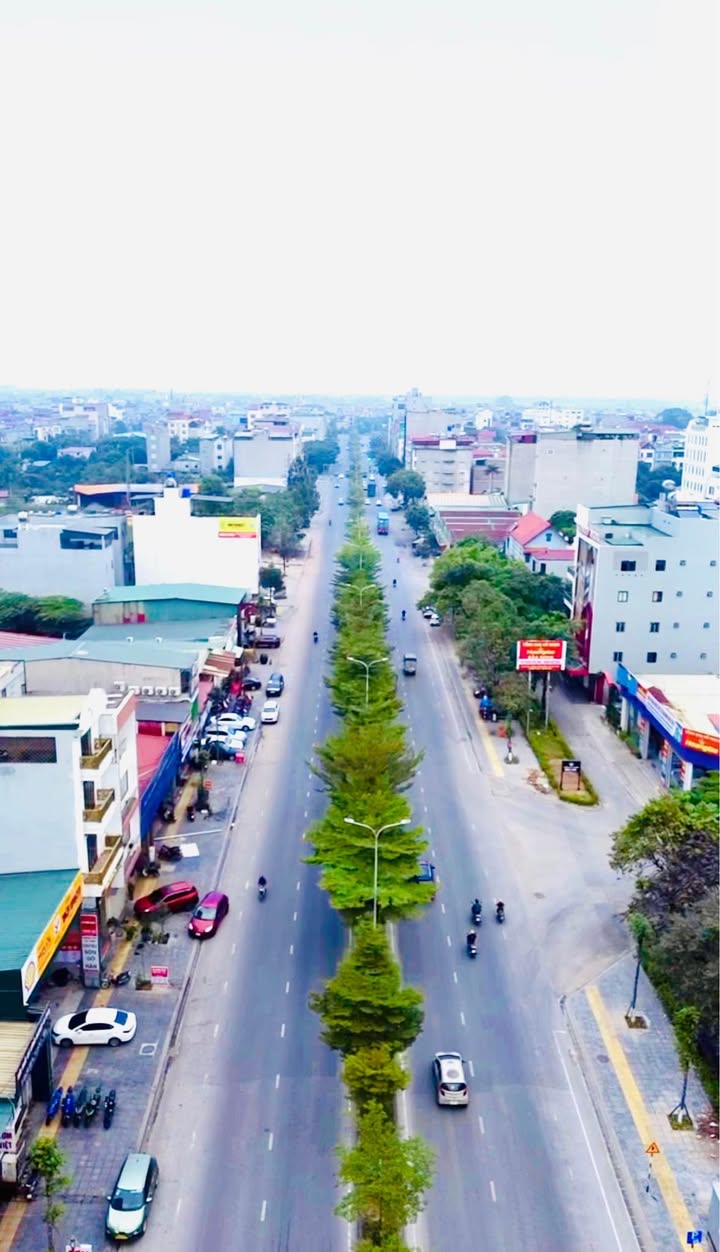 Đất nền Lý Thánh Tông Từ Sơn 195m² giá 30 tỷ - Vị trí kinh doanh đắc địa!