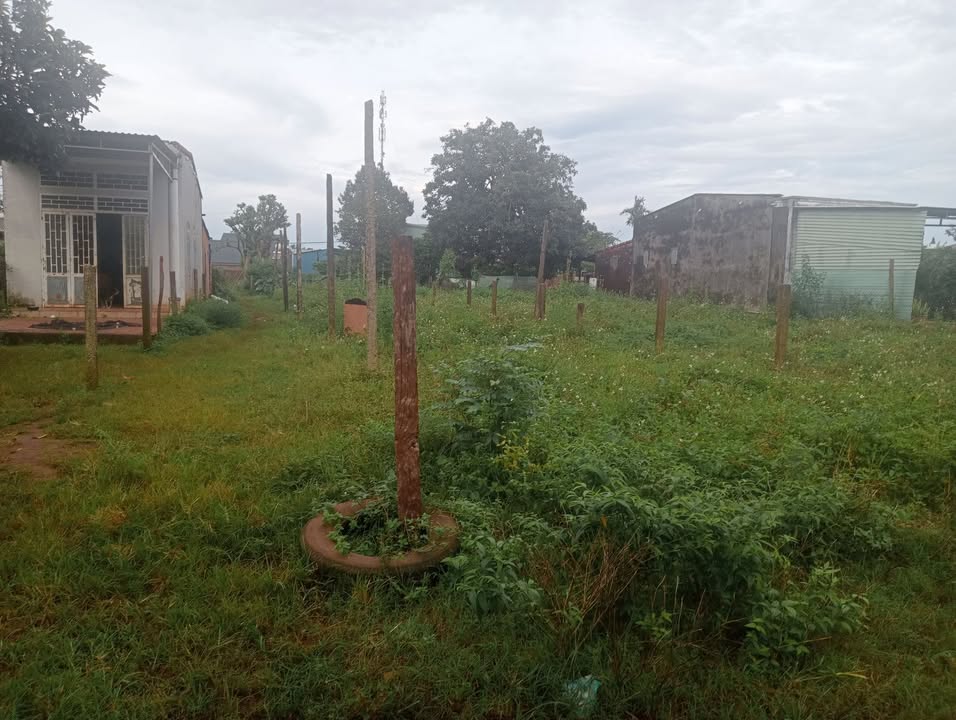 Bán đất mặt tiền đường bê tông tại Ia Hrú, Chư Pưh - Diện tích 348m², giá thỏa thuận!