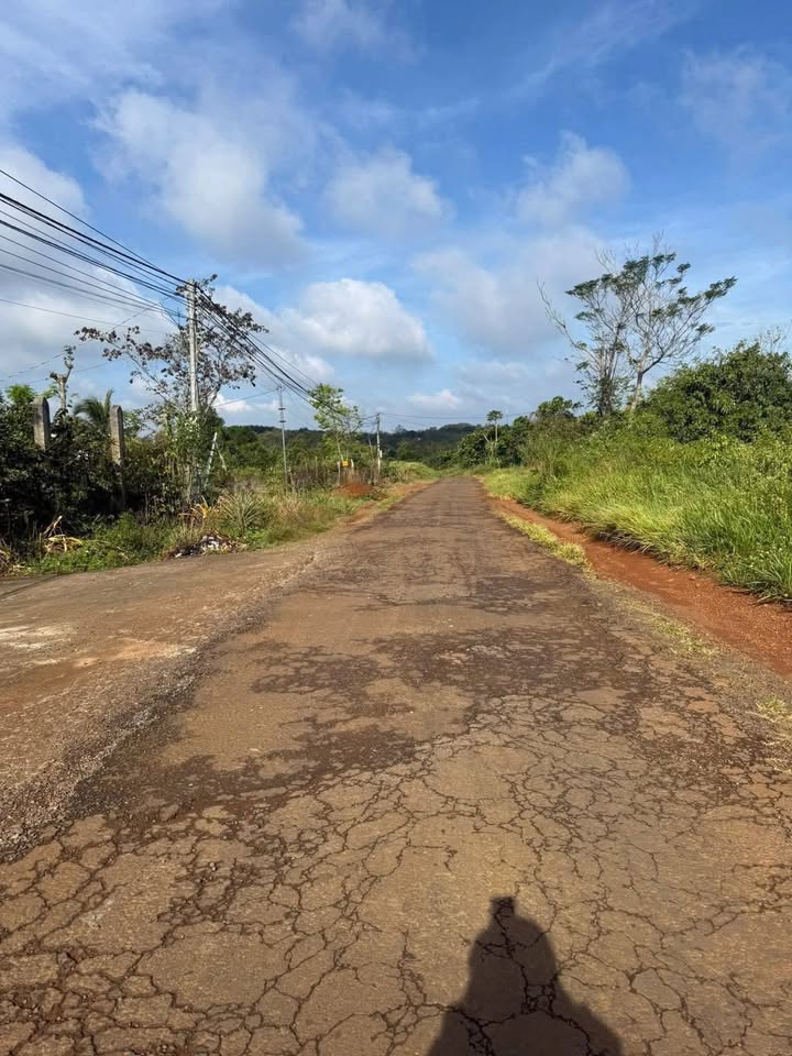 Đất thổ cư Nhân Cơ 5000m² giá 950 triệu - Cơ hội đầu tư hấp dẫn!