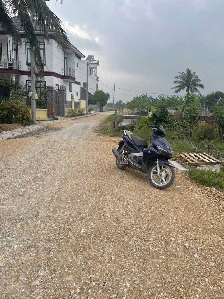 Đất thổ cư Tân Viên, An Lão 145m² giá rẻ - Cơ hội đầu tư hấp dẫn!