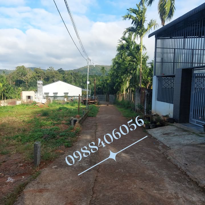 Đất nền thổ cư Thôn 7A, Cư Kuin, 100m² chỉ 450 triệu - Cơ hội đầu tư tuyệt vời!