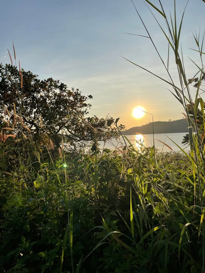 Đất mặt tiền view hồ Đa Tôn tại Tân Phú 11.260m² giá 4 tỷ - Cơ hội đầu tư hấp dẫn!