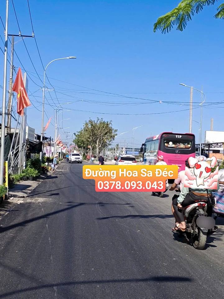 Đất Mặt Tiền Đường Hoa Sa Đéc, 450m² giá 3 tỷ - Đầu tư sinh lời ngay!