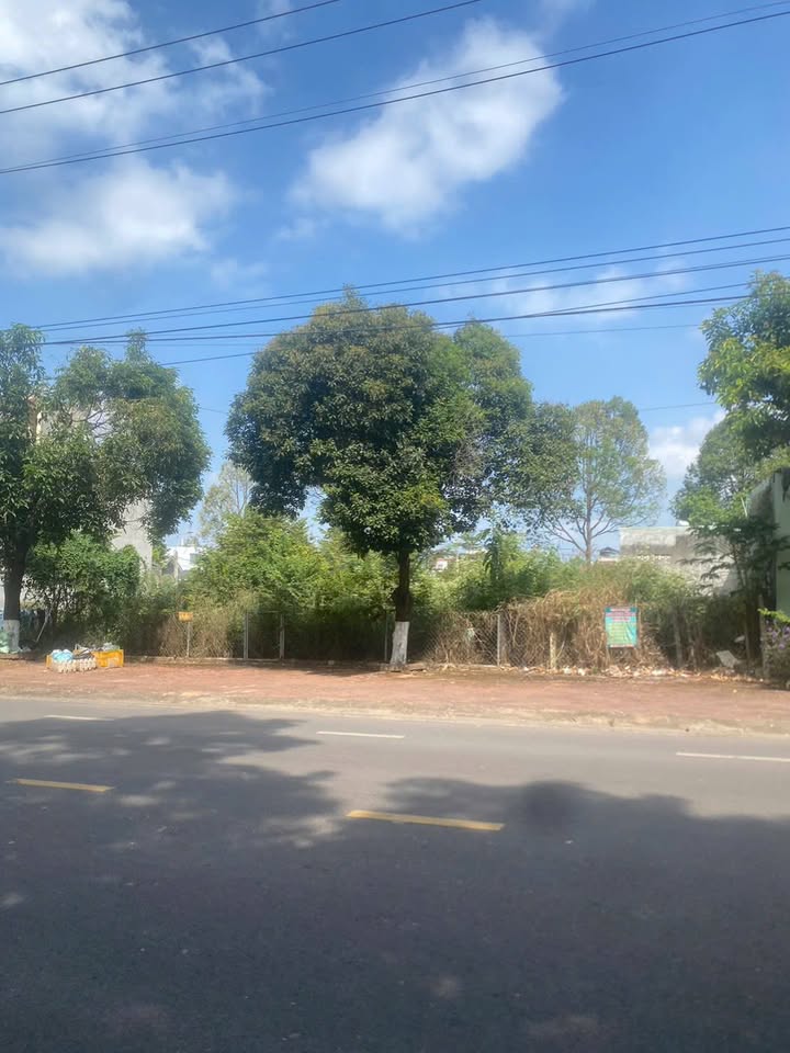 Đất nền Trảng Bom, Đồng Nai 220m² giá 8.8 tỷ - Đầu tư sinh lời ngay!