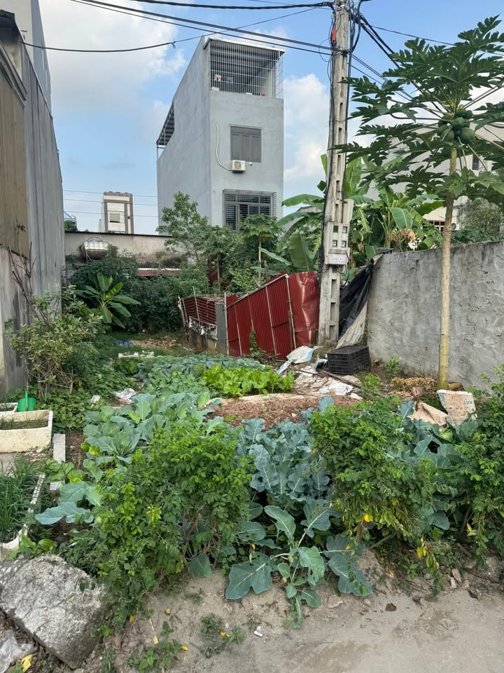 Đất mặt tiền Yên Dũng 91m² - Vị trí đắc địa, sẵn sàng kinh doanh!