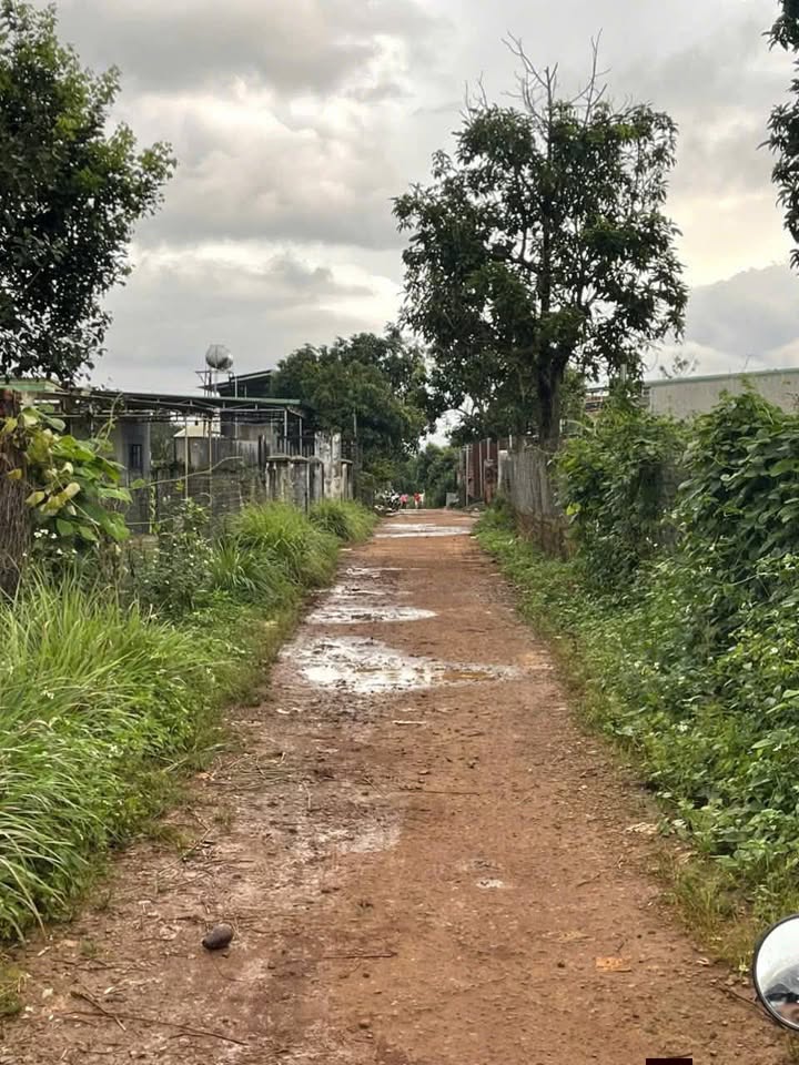 Đất nền An Phú Pleiku 115m² giá 400 triệu - Cơ hội đầu tư hiếm có!