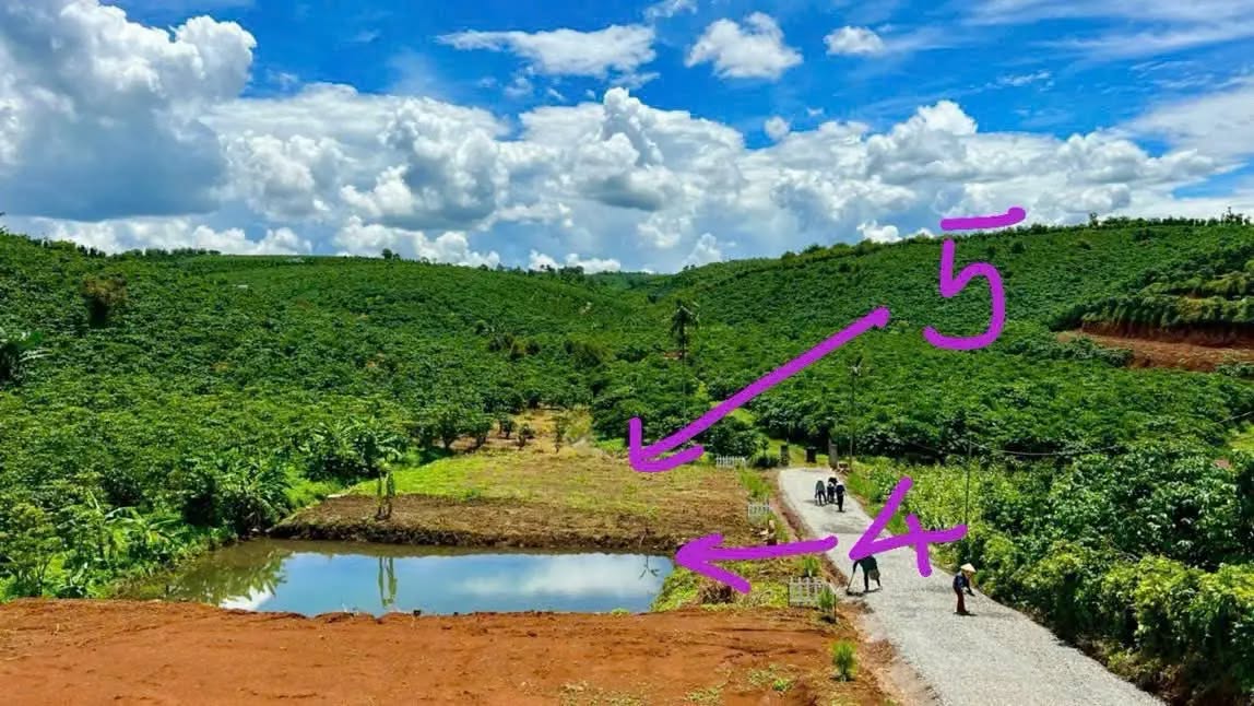 Đất thổ cư Thôn 2 Lộc Ngãi 520m² giá 450 triệu - Cơ hội đầu tư tuyệt vời!