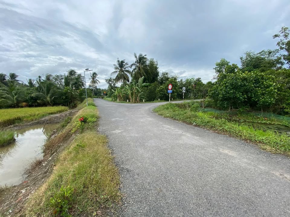 Đất nền xã Long Phú - Tam Bình 75m² giá 260 triệu - Đầu tư sinh lời ngay!