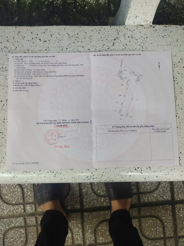 Đất vườn 3500m² Ấp 3 Bình Xuân Gò Công - Giá chỉ 210 triệu!