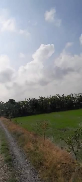 Đất nền 1.005m² phường Sơn Quy, Gò Công - Giá chỉ 650 triệu, pháp lý đầy đủ!