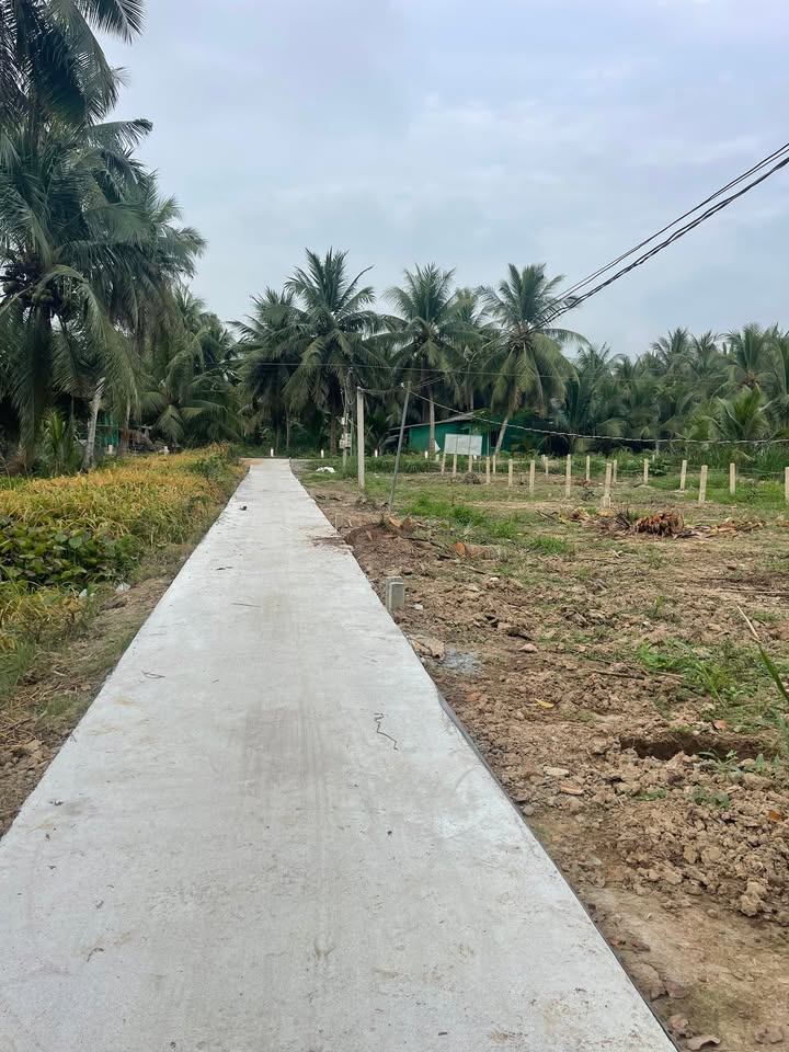 Đất thổ cư 100m² tại Ấp Hoà Lạc, Bình Ninh chỉ 220 triệu - Đầu tư ngay hôm nay!