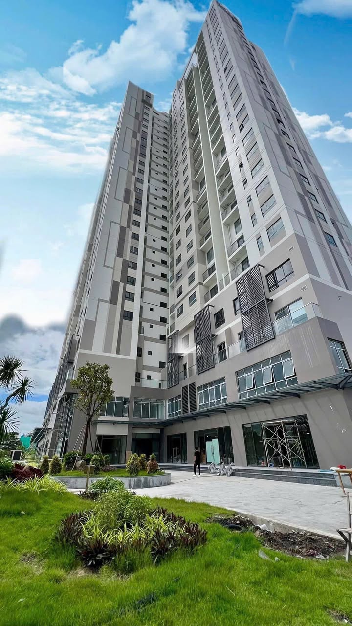 Shophouse 1079 Tạ Quang Bửu Q8 130m² giá 6.89 tỷ - Sổ hồng riêng, cho thuê ngay!