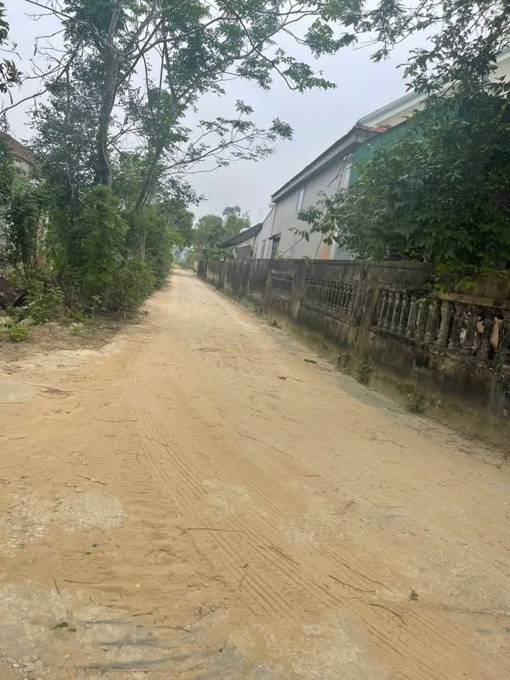 Đất nền Kim Đông, Vinh Phú 300.6m² giá 3.607 tỷ - Cơ hội đầu tư sinh lời!