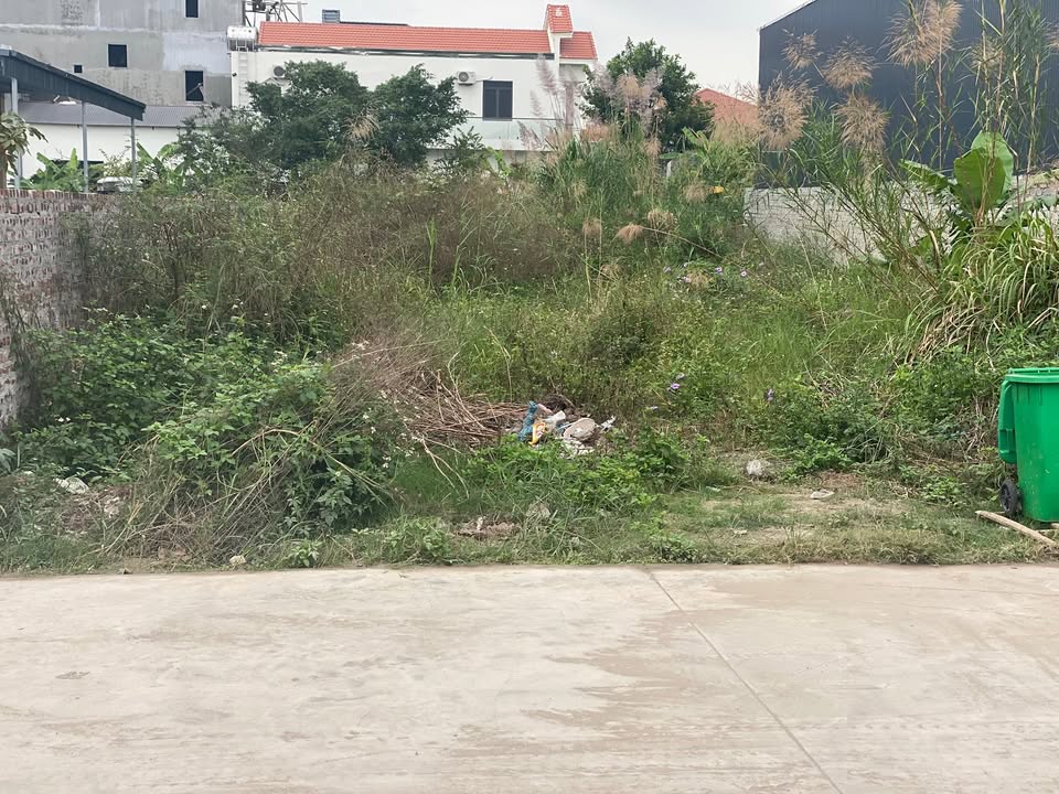 Đất Hồng Vân Thường Tín 270m² - Cơ hội đầu tư hấp dẫn!