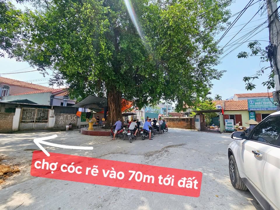 Lô đất 125m² tại Thanh Trù, Vĩnh Yên chỉ 1.1 tỷ - Đầu tư sinh lời ngay!