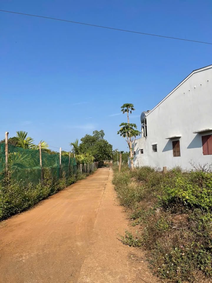 Đất nền Ea Kao 140m² giá chỉ 680 triệu - Cơ hội đầu tư hấp dẫn!