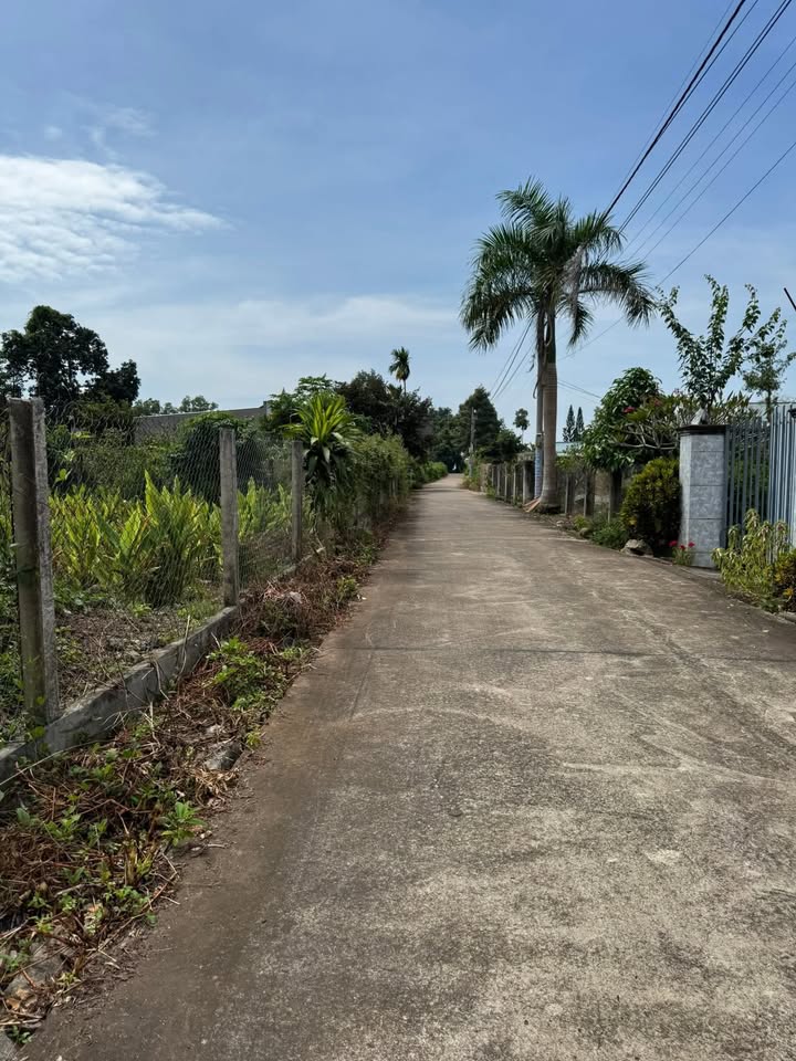 Đất Nghĩa Thành, Châu Đức, 448.5m² giá 1.95 tỷ - Vị trí gần khu công nghiệp Sonadezi!