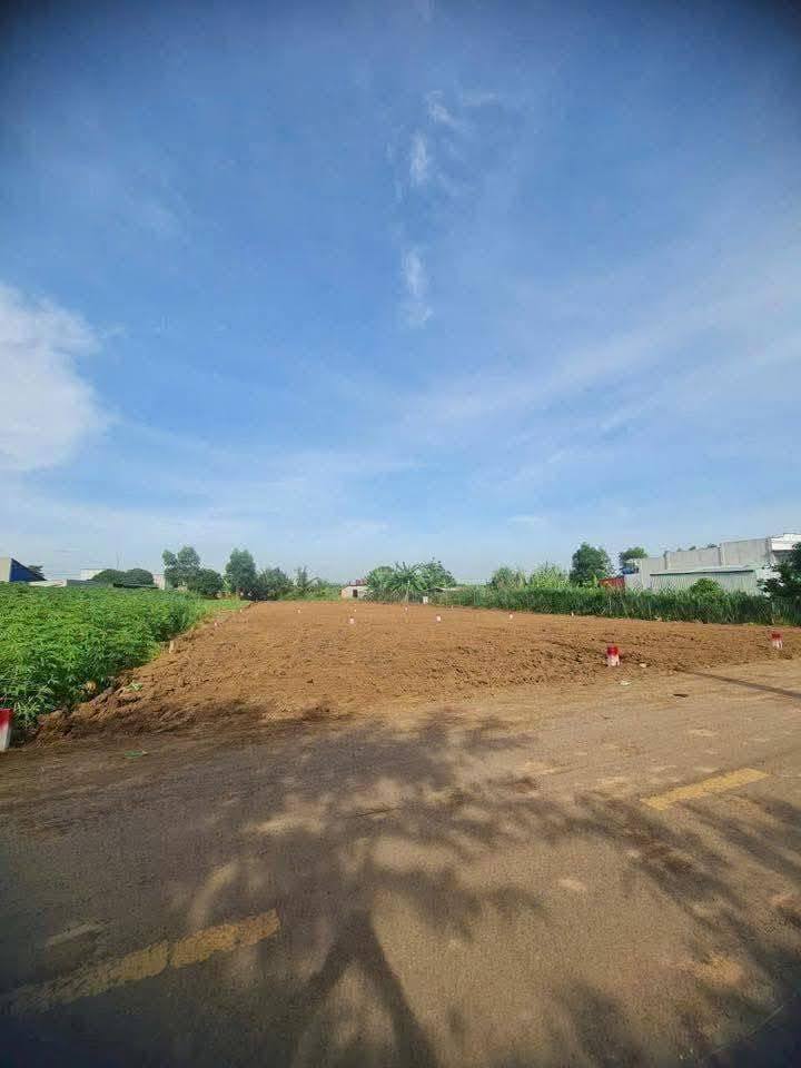 Đất nền Long Tân Đất Đỏ 800m² giá 1.17 tỷ - Cơ hội đầu tư tuyệt vời!